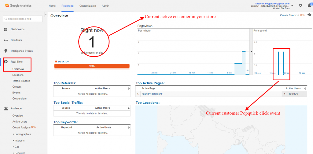 PQ-Google-Analytics-report2