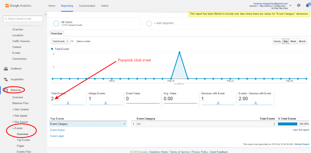 PQ-Google-Analytics-report3